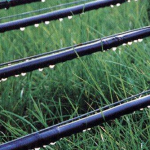 drip irrigation tapes