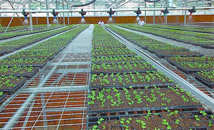 water-saving technologies